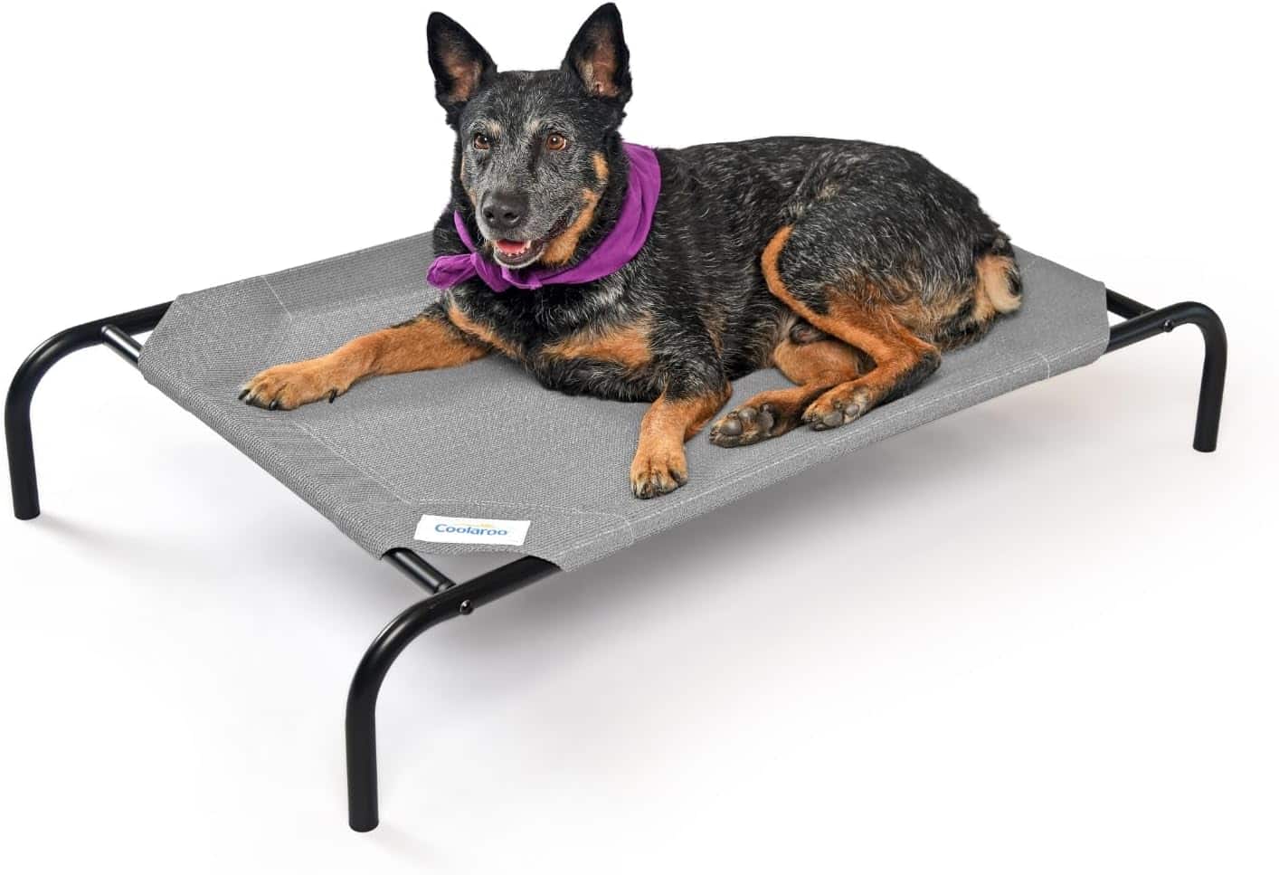 Υπερυψωμένο κρεβάτι σκύλου Coolaroo με ατσάλι