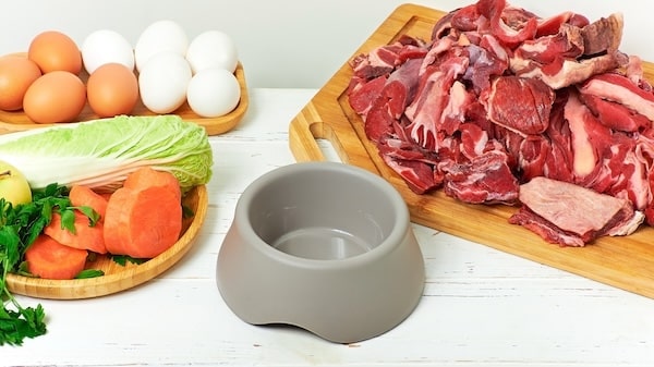 Dog bowl surrounded by meat, eggs, and vegetables